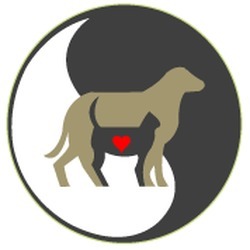 Team Page: Team Shiloh Animal Hospital